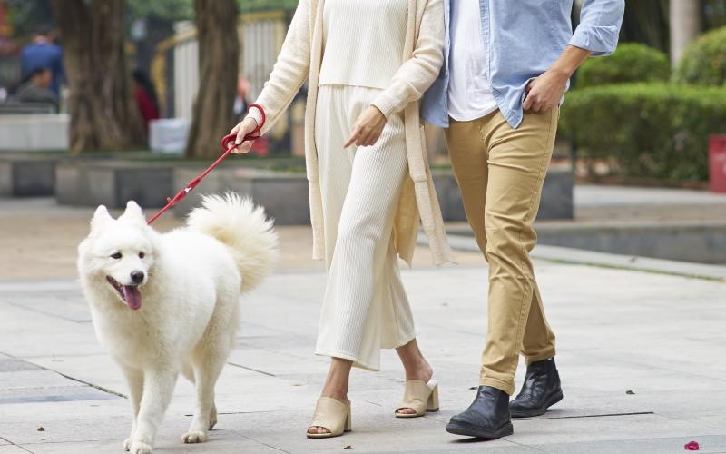 The Ivy is a pet-friendly community! a man and woman walking a dog