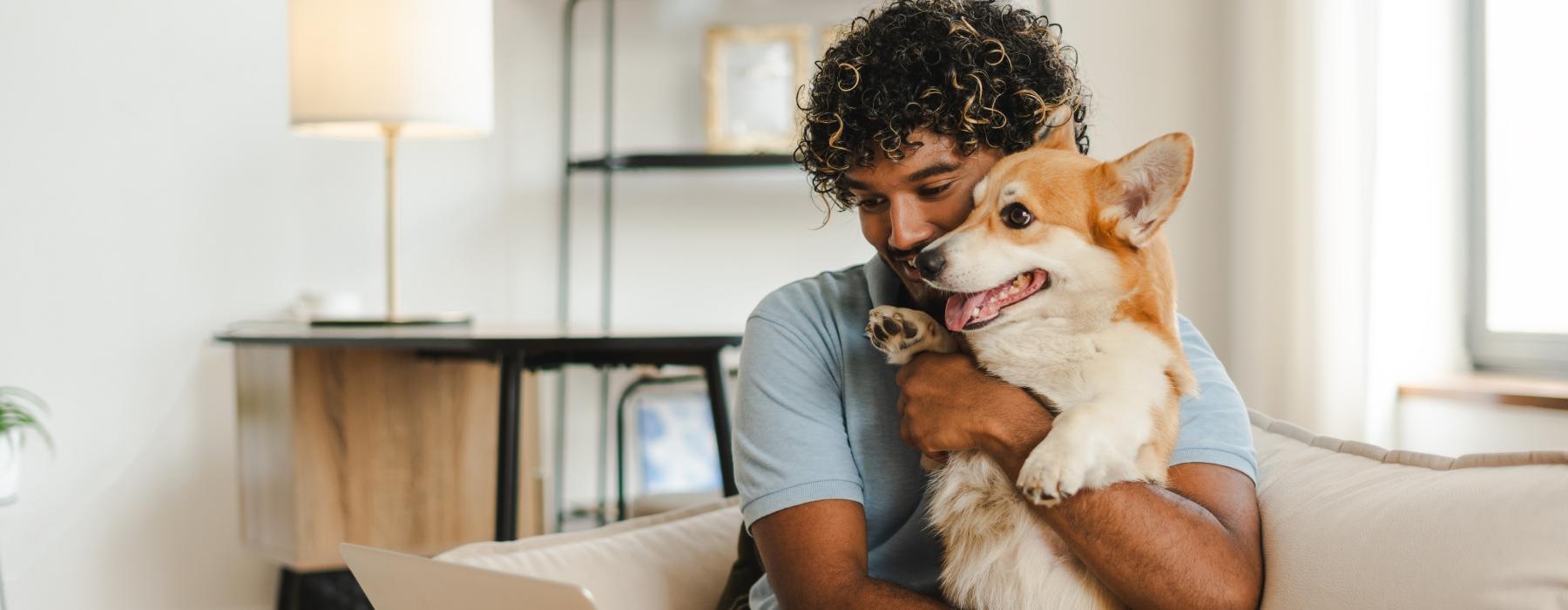 a person and a dog on a couch with a laptop